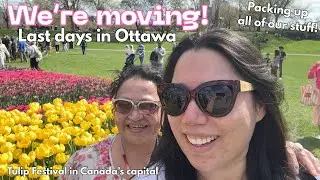 We're moving! Packing vlog 📦 & Canadian Tulip Festival in Ottawa 🌷🇨🇦