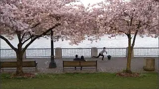 Sound and Color Skate Video