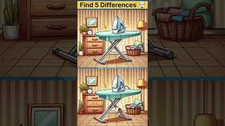 Find 5 Differences #347