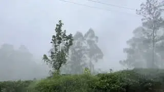 Misty train ride | Badulla🔁Colombo