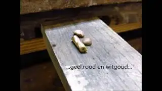 Trouwringen veranderen