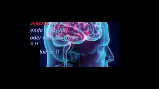 Como Reprogramar a mente subconciente