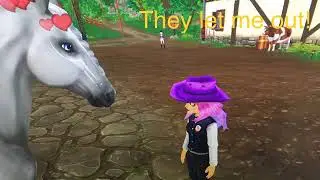 Star stable Ayla