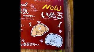 Sugamo, Tokyo🐶🍻Jewelry Cat💖Break Time🍹#shorts