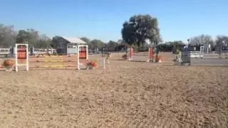 Amber and Gracie Allen Pony Jumpers Hits Ocala 2014