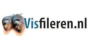 Tarbot fileren