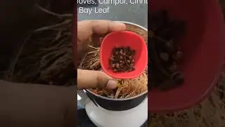 Best homemade dhoop ideas || #youtubeshorts #viralvideo #trendingshorts #trendingsong