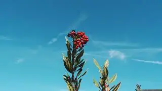 This is all the sky | Cinematic Short Film | Shot on Sony a6700