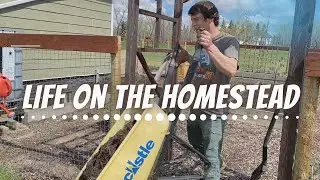 GARDEN UPDATE |  Acreage Life in Alberta, Canada