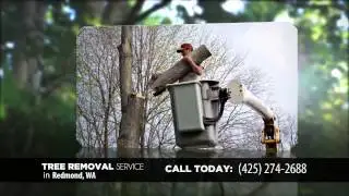 24 Hour Emergency Tree Removal Redmond WA. Call (425) 274-2688