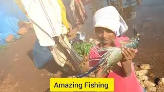 Amazing Big Tiger Zinga Catched By Kanu In Yeldari Dam Fishing || Kanu From YD Fishing Vlogs ||