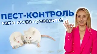 Обработка от вредителей. Как часто нужно проводить на предприятиях общепита и пищевых производствах?