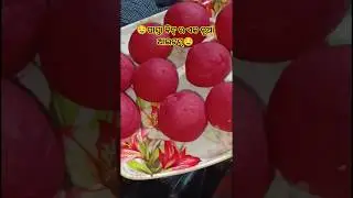🤤ପାସ୍ତା ବିଟ୍ ପରାଠା🤤 youtube shorts #shortsfeed #breakfast #food #cooking #recipe #uniquerecipe