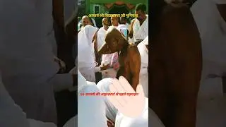 Jain Monk#shorts #shortvideo