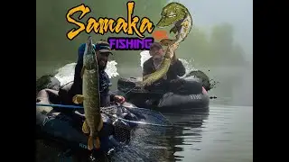 Des brochets bien maill&eacute;s et f&eacute;roce / Ouverture Brochet 2022