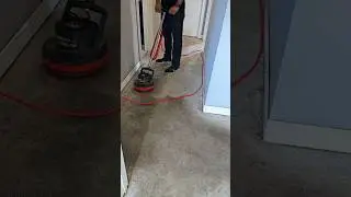 Аренда недвижимости для чистки ковров