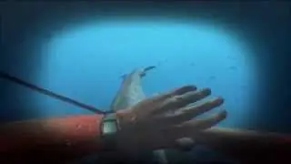 How to fly a shark - Stranded Deep