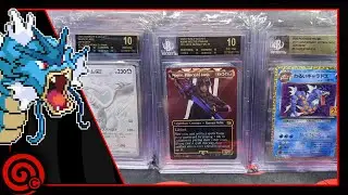 BGS GROUP SUBMISSION RETURN - LIVE CARD SHOP