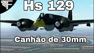 IL-2: 