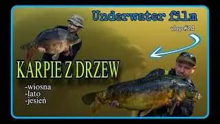 Karpie z drzew - ujęcia i hole podwodne / Vlog #24