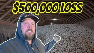 DUMPING POTATOES! This Is What a Bad Farming Year Looks Like.