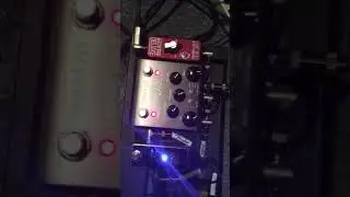 Lone Wolf Harp Mic