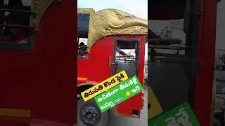 #tirupati Free bus In tirupati 🙏🚌 #love #like #love #tirupatitemple 🙏🧎......