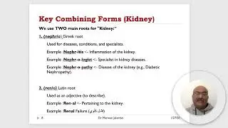Medical Terminology   lecture 09