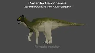 Canardia - Blender Showcase