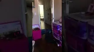 Magic trick with my dog