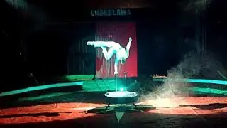 Handzup handstand act