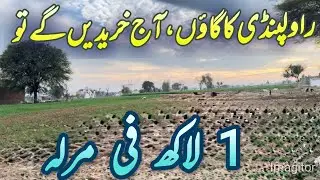 economical residential places in rawalpindi | #village | #villagevlog | #villagelife | #rawalpindi 