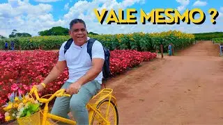 HOLAMBRA VALE A PENA EM BATE VOLTA DE 1 DIA OU É SUPERESTIMADA?