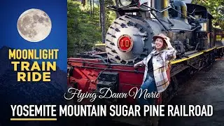301: Moonlight Train Ride with Yosemite Mountain Sugar Pine Railroad (Top Family-Friendly Activity)
