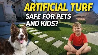 Is Artificial Turf Safe for Pets and Kids? (Truth from an Installer)