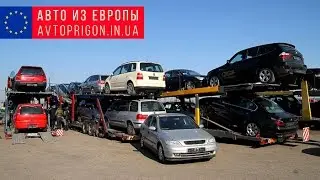 Цены на авто, авторынок в Каунасе, Литва / Avtoprigon.in.ua