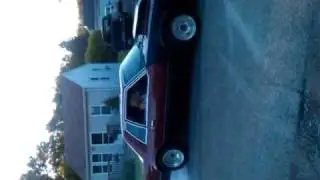 Burtucky burnout