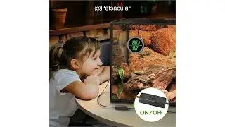 PAIZOO LED Digital Reptile Tank Thermometer Review: Accurate, Easy-to-Use, Worth It?