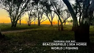 Биконсфилд, Sea Horse World и рыбалка на Тэсси Уайтинг | Наш путь в Тасманию | Летний тур 2024