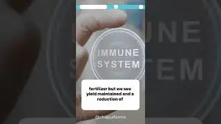 Chitin benefits