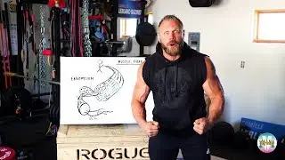 Anatomy of Muscle: Muscle Fiber Anatomy