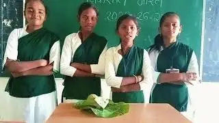 Viksit bharat 2025-26 P M ruikar trust vidhyalaya nanza (पानांपासून दोन व प्रत्रवळी बनवने)