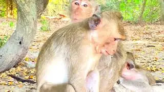 #Mila Troop Update! Cute baby is breastfeeding with mother