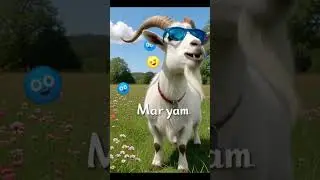 Maryam name video #watch #like #shorts #goat #namevideo