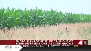 Early growing season leads to dangerous intersections on rural roads
