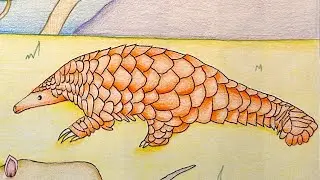 My Review On My African Illustration