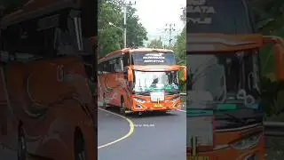 bus basuri gora style #viralvideo #basuribussid #basuri