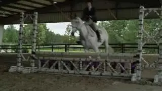 A Gift Horse - Official Trailer HD