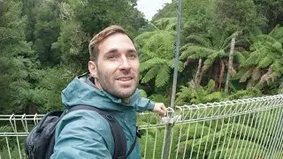 Tarra-Bulga National Park: Fern Gully + Rainforest