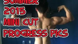 Summer 2015 Mini Cut Progress Pics